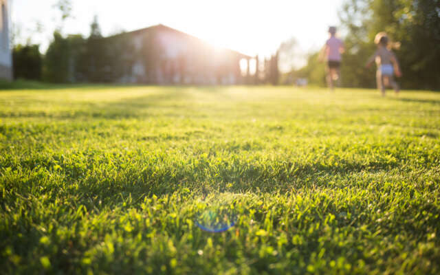 Lawn At Home Running Children In Blur  On A Sunny Summer Day