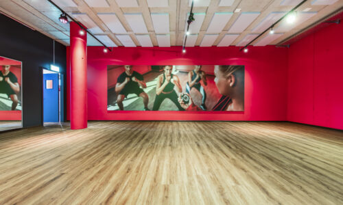 Belcolor Belco Design55 Fitness Center Cleverfit Frauenfeld 4005