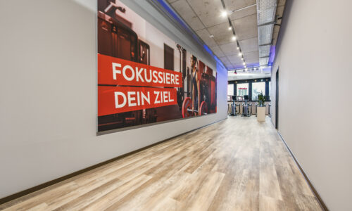 Belcolor Belco Design55 Fitness Center Cleverfit Frauenfeld 4019