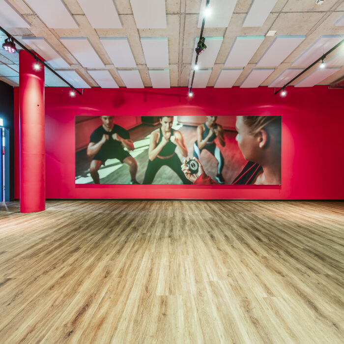 Belcolor Belco Design55 Fitness Center Cleverfit Frauenfeld 4005